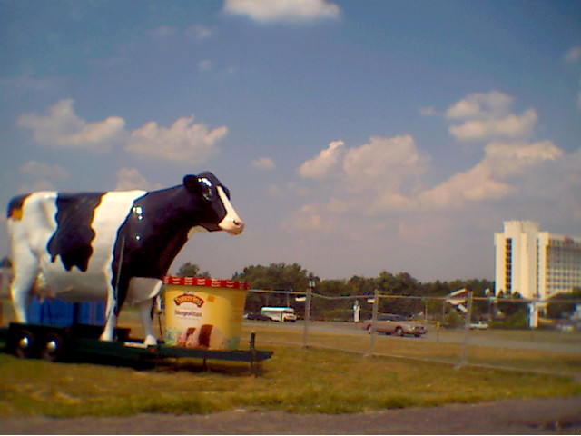 photo22.jpg