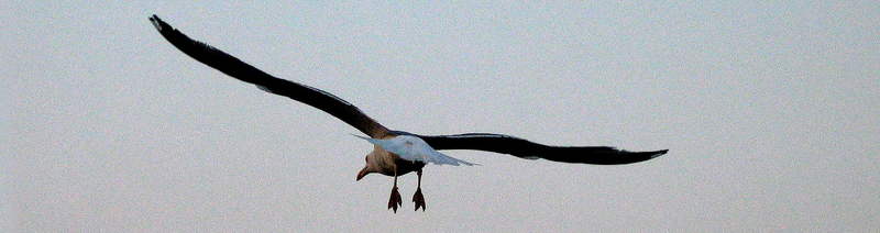 IMG 2559.jpg