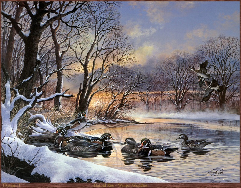 TXscan 01 Harold Roe-Winter Woodies.jpg