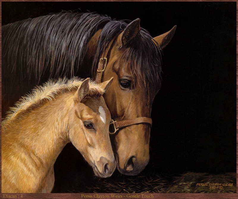 TXscan 04 Persis Clayton Weirs-Gentle Touch.jpg