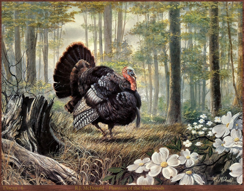 TXscan 06 R.J. McDonald-Phantom of the Hardwoods.jpg