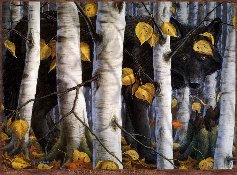 TXscan 08 Michael Glenn Monroe-Eyes of the Forest.jpg