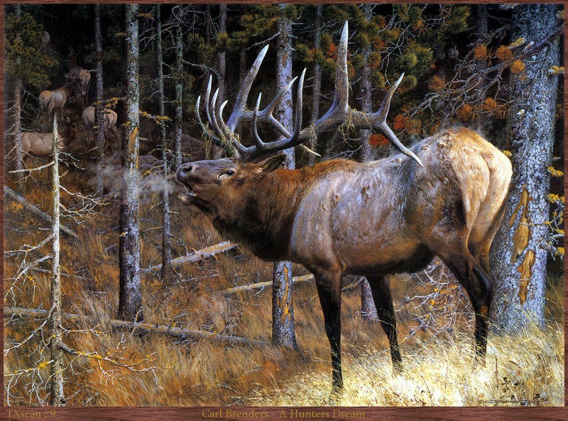 TXscan 09 Carl Brenders-A Hunters Dream.jpg