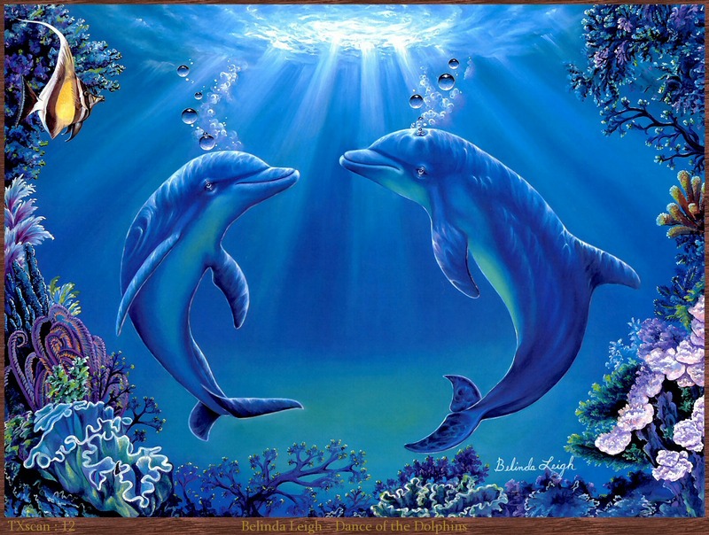 TXscan 12 Belinda Leigh-Dance of the Dolphins.jpg