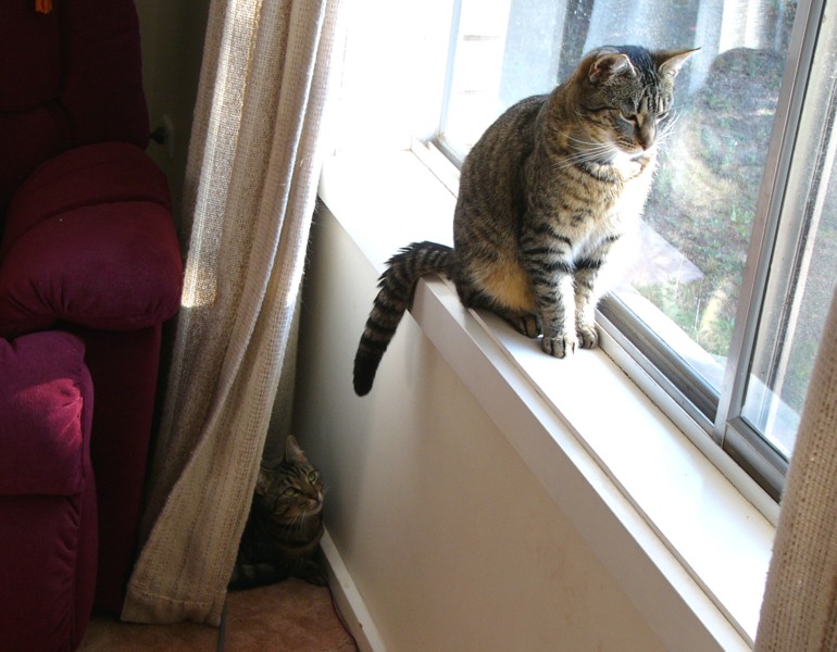 lily ready.jpg