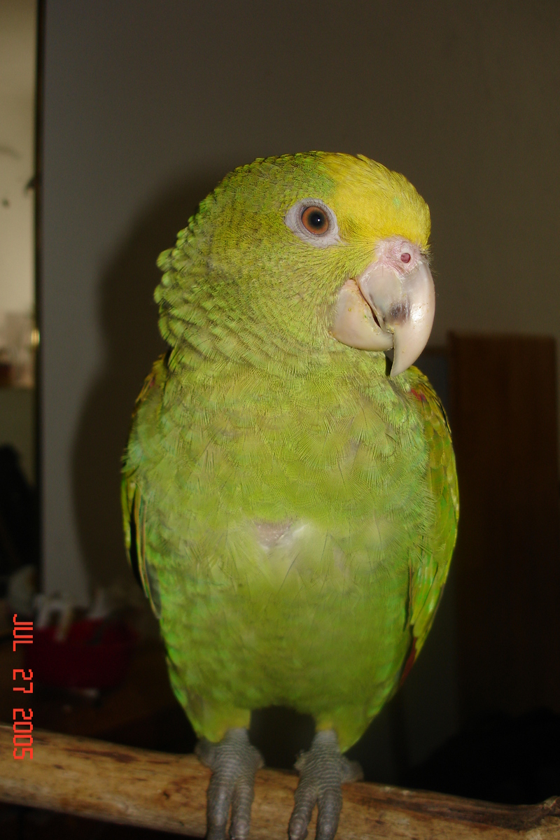 Close up 037.jpg