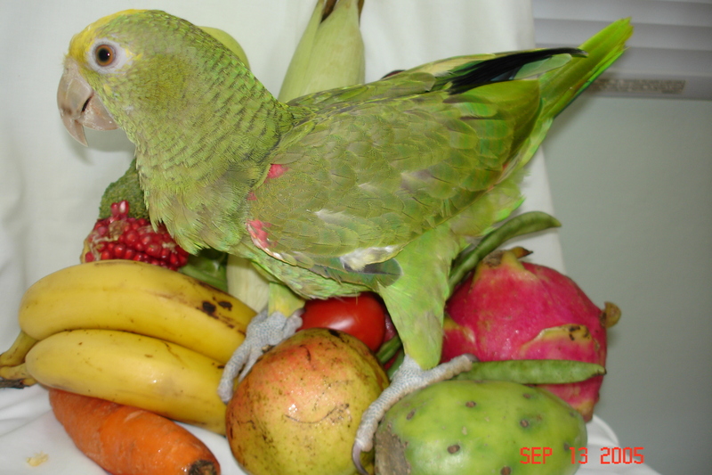 Comiendo uvas 852.jpg