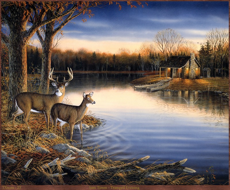 TXscan 23 Sam Timm-Tranquil Evening.jpg
