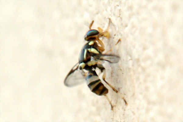 DSCF0058.jpg