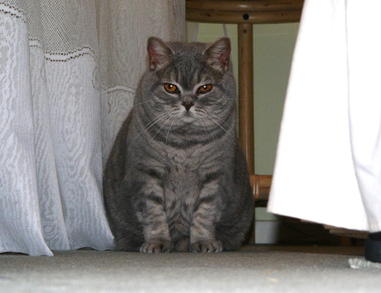 toby 4.jpg