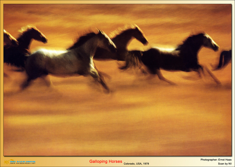 IMG Nil-ErnstHaas-Galloping Horses.jpg