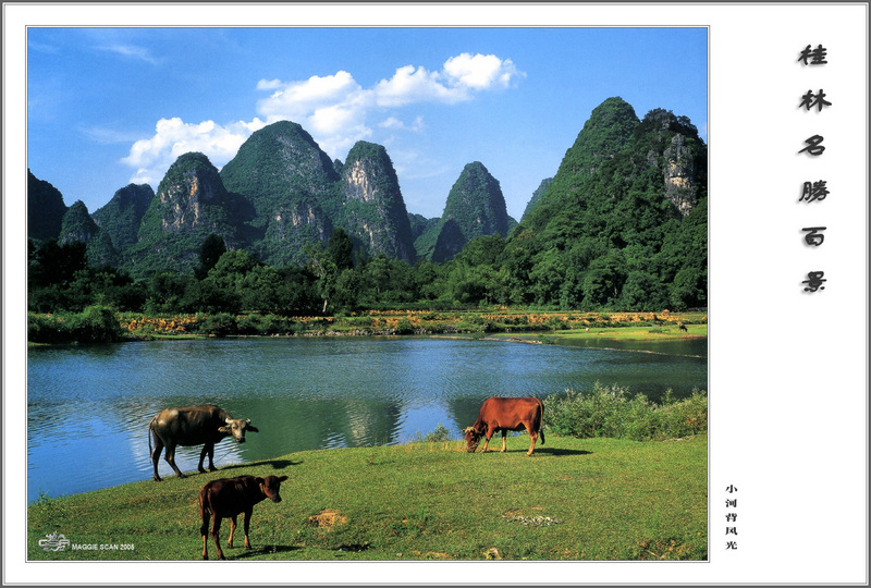 csa maggie guilin landscape 100 064.jpg