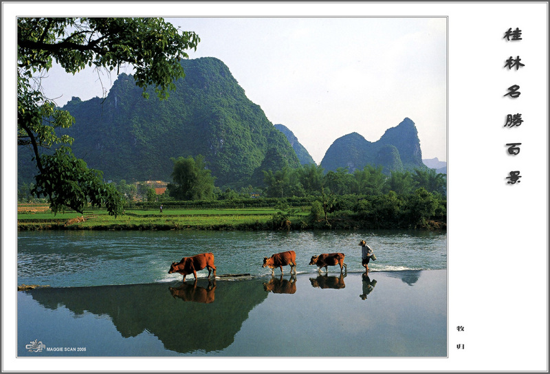 csa maggie guilin landscape 100 066.jpg