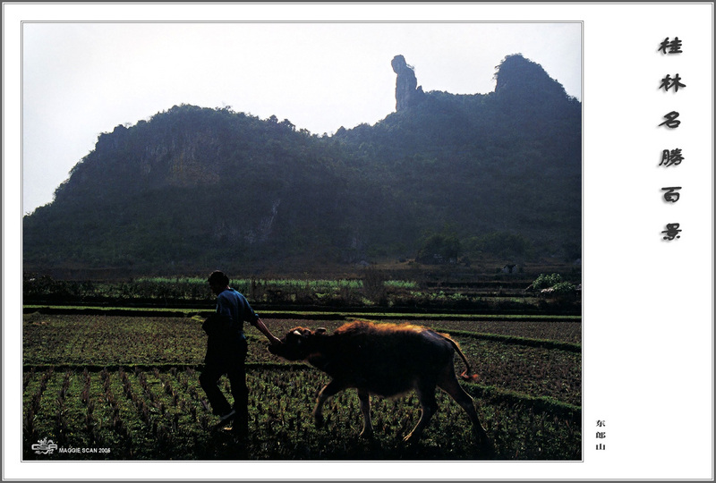 csa maggie guilin landscape 100 070.jpg