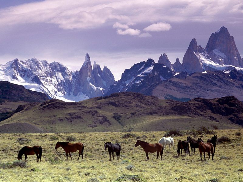 Andes Mountains, Patagonia, Argentina.jpg