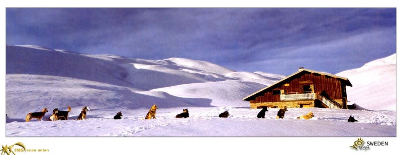IMG BitScan-Panorama-013.jpg