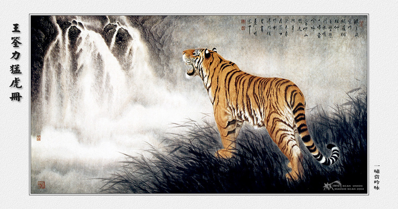 IMG maggie-WangQuanLi-Tiger-001.jpg