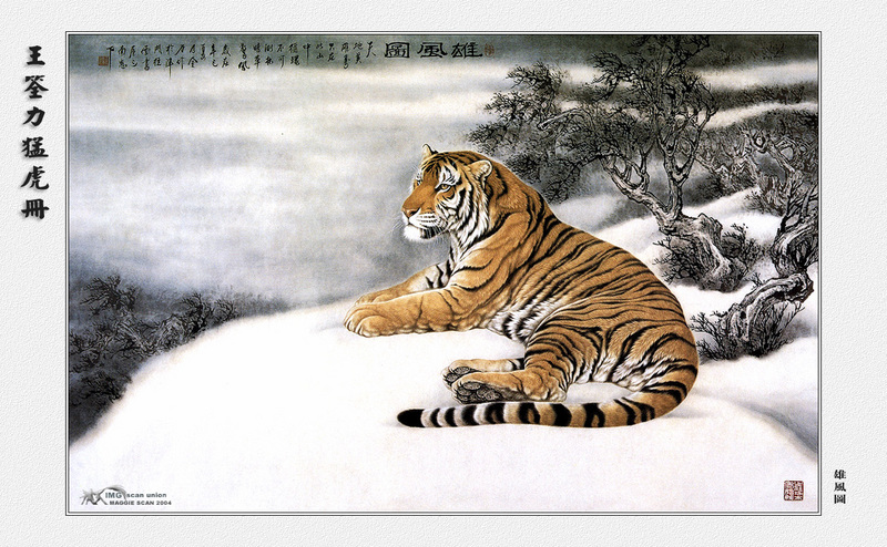 IMG maggie-WangQuanLi-Tiger-010.jpg