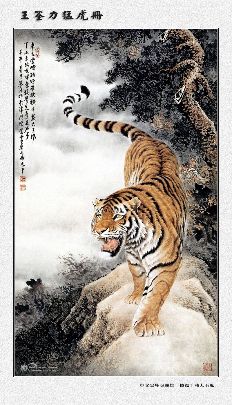 IMG maggie-WangQuanLi-Tiger-014.jpg