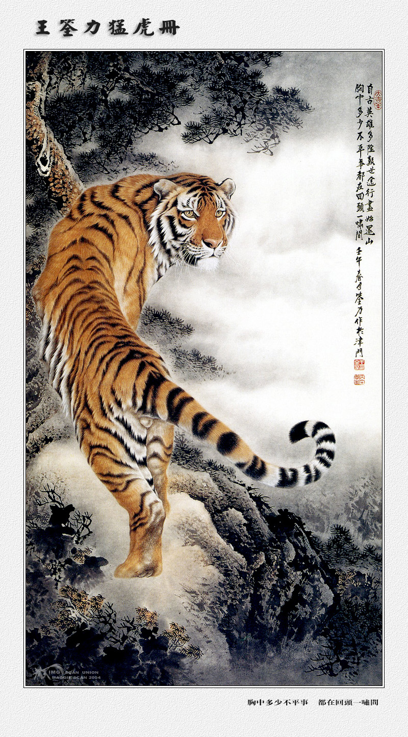 IMG maggie-WangQuanLi-Tiger-015.jpg