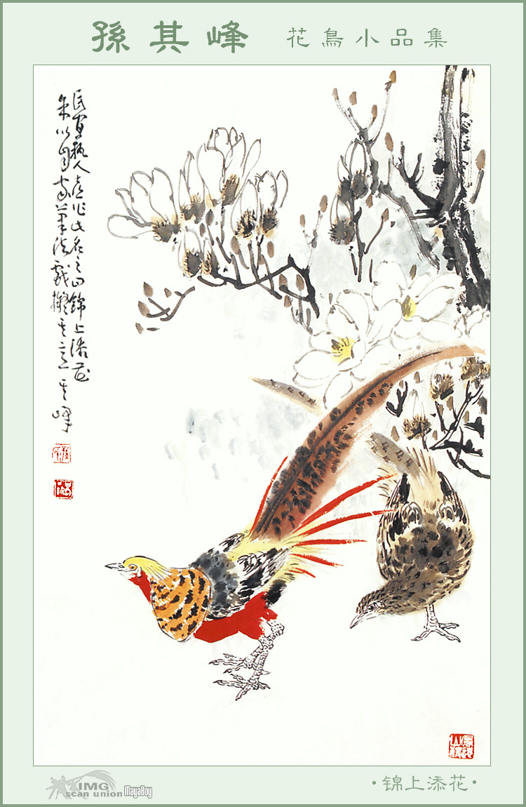 IMG MayaBoy-SunQiFeng-Flower&bird Painting-007.jpg