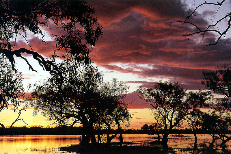 coongie lake-s.a.jpg