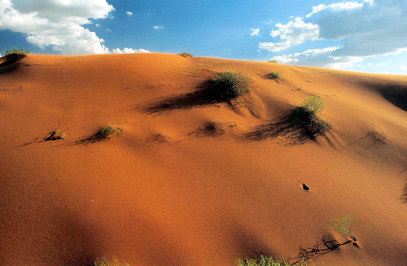 desert sands.jpg