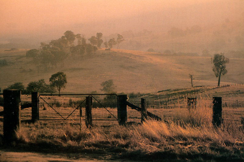 evening glow.jpg