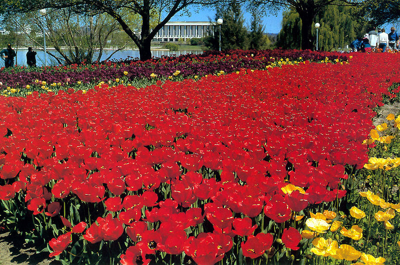 floriade act.jpg