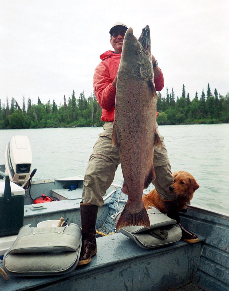 King Salmon Caught on the Kenai River.jpg