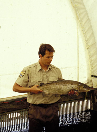 Nashua Fish Hatchery employee with Atlantic Salmon.jpg