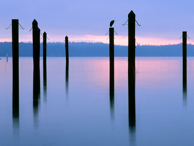 Sidney-by-the-Sea British Columbia Canada.jpg