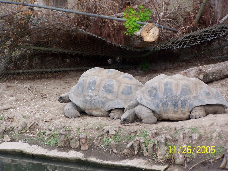 Picture 034.jpg