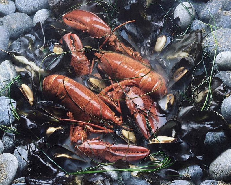 lobster and muscles.jpg