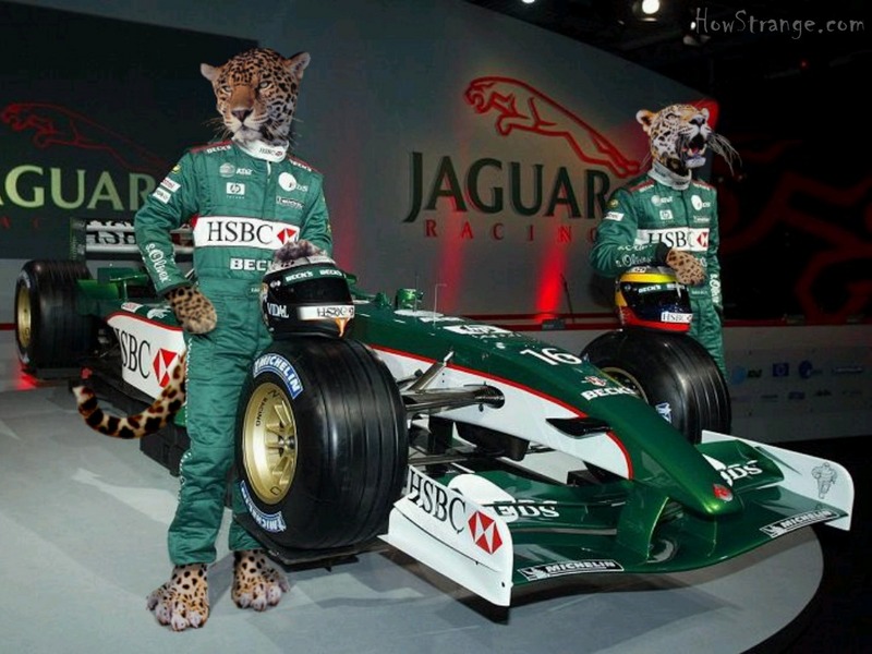 Jaguar racing.jpg
