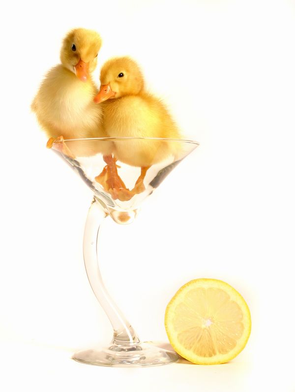Two Drunk Chicks.jpg