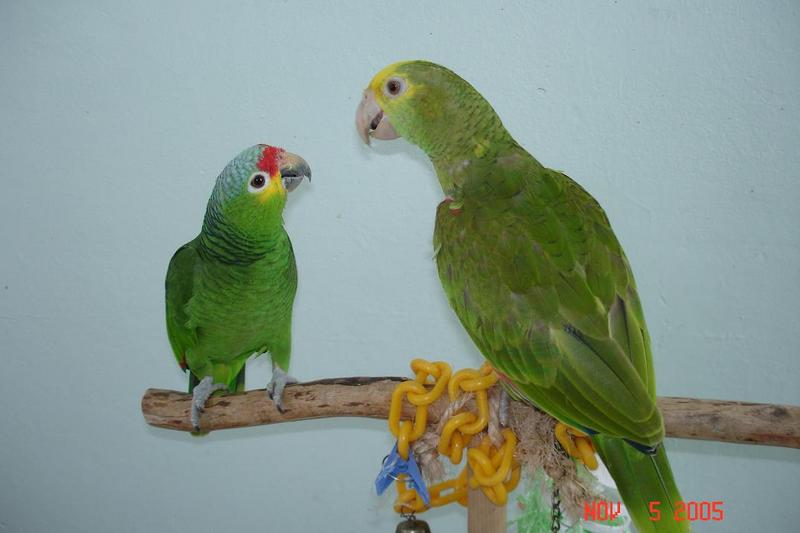 Rubi and Cruzito.JPG