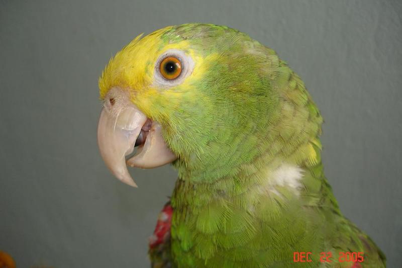 Rubi 13 dic 2005 439.JPG