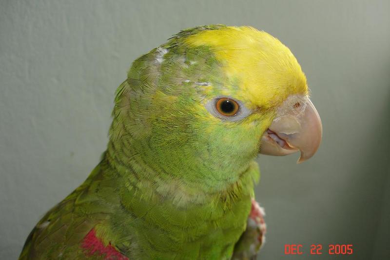 Rubi 13 dic 2005 442.JPG