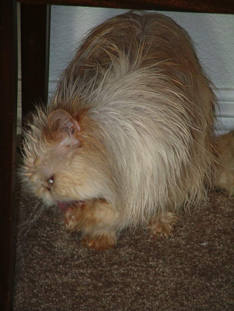 December 23, 2005-32.jpg