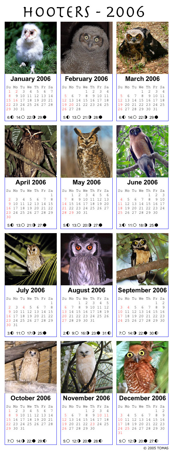 Hooters 2006 Calendar.jpg