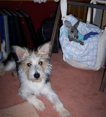 Millie and Ellie.jpg