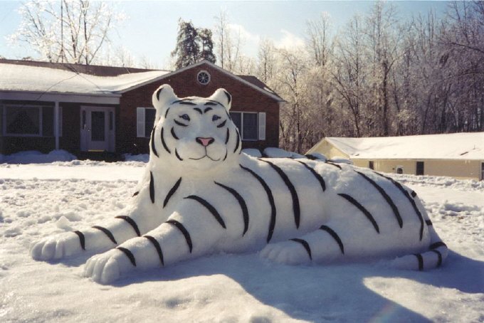 snow tiger.jpg