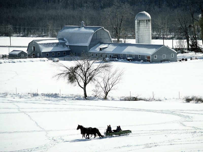 Sleigh Ride.jpg