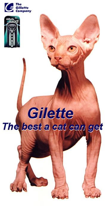 Gilette - The best a cat can get.jpg