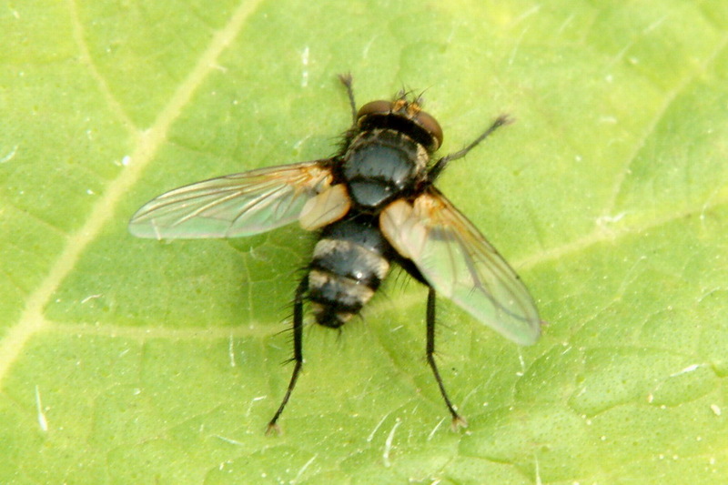 DSCF2356.jpg