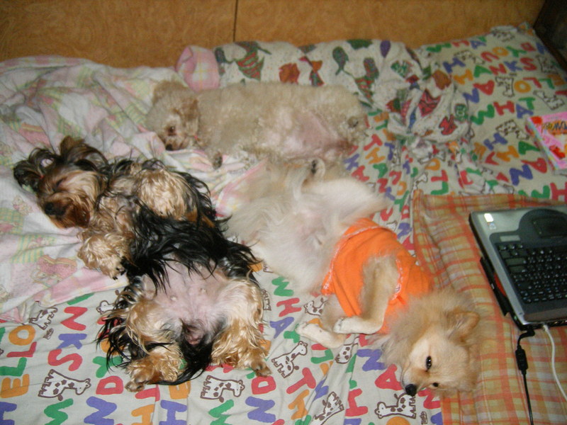 DSCF0291.JPG