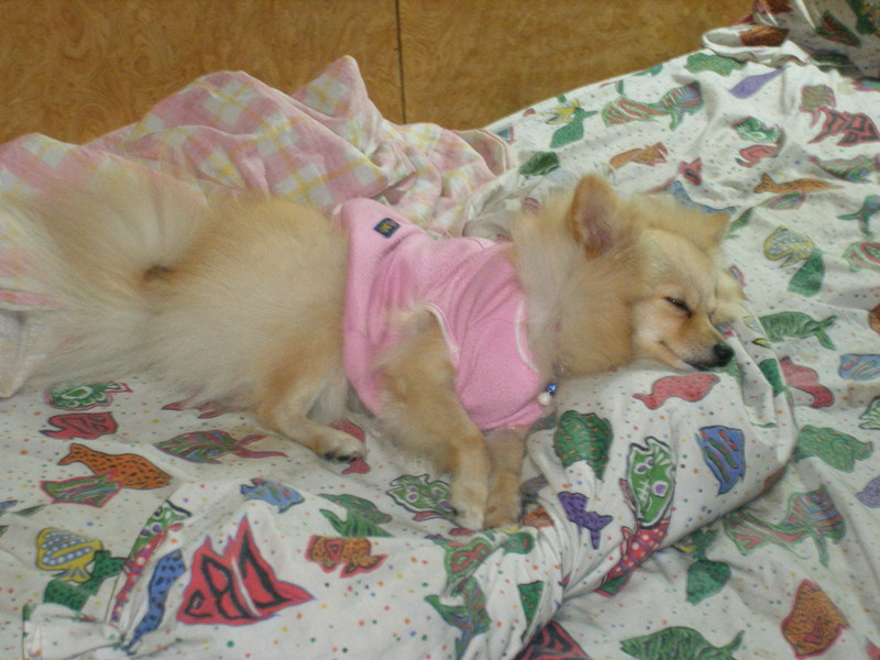 DSCF0189.JPG