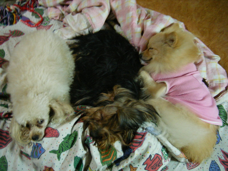 DSCF0222.JPG