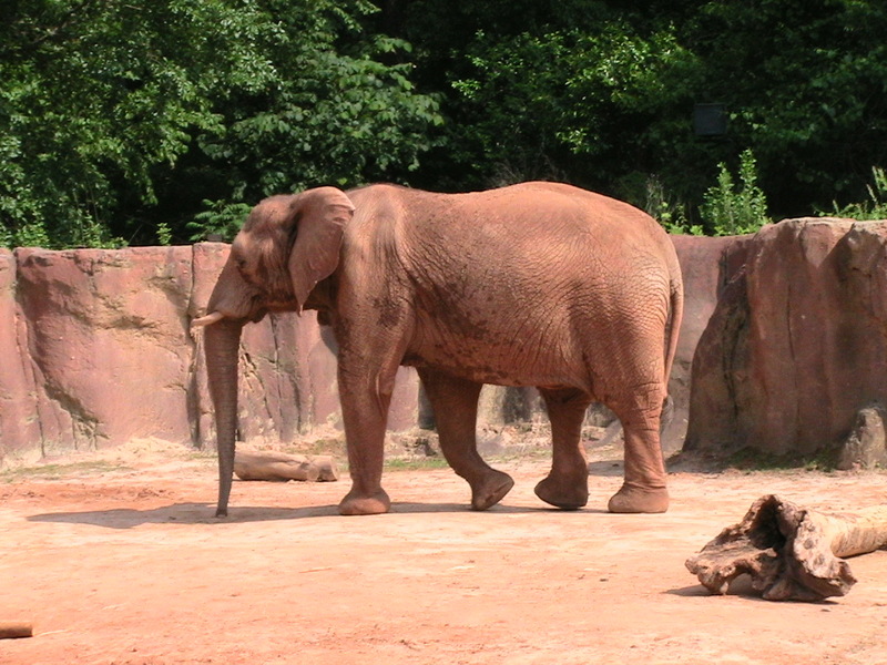 IMG 0213.JPG